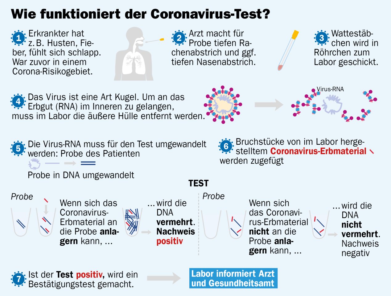 Corona Virus Die Aktuelle Lage In Bad Zwischenahn