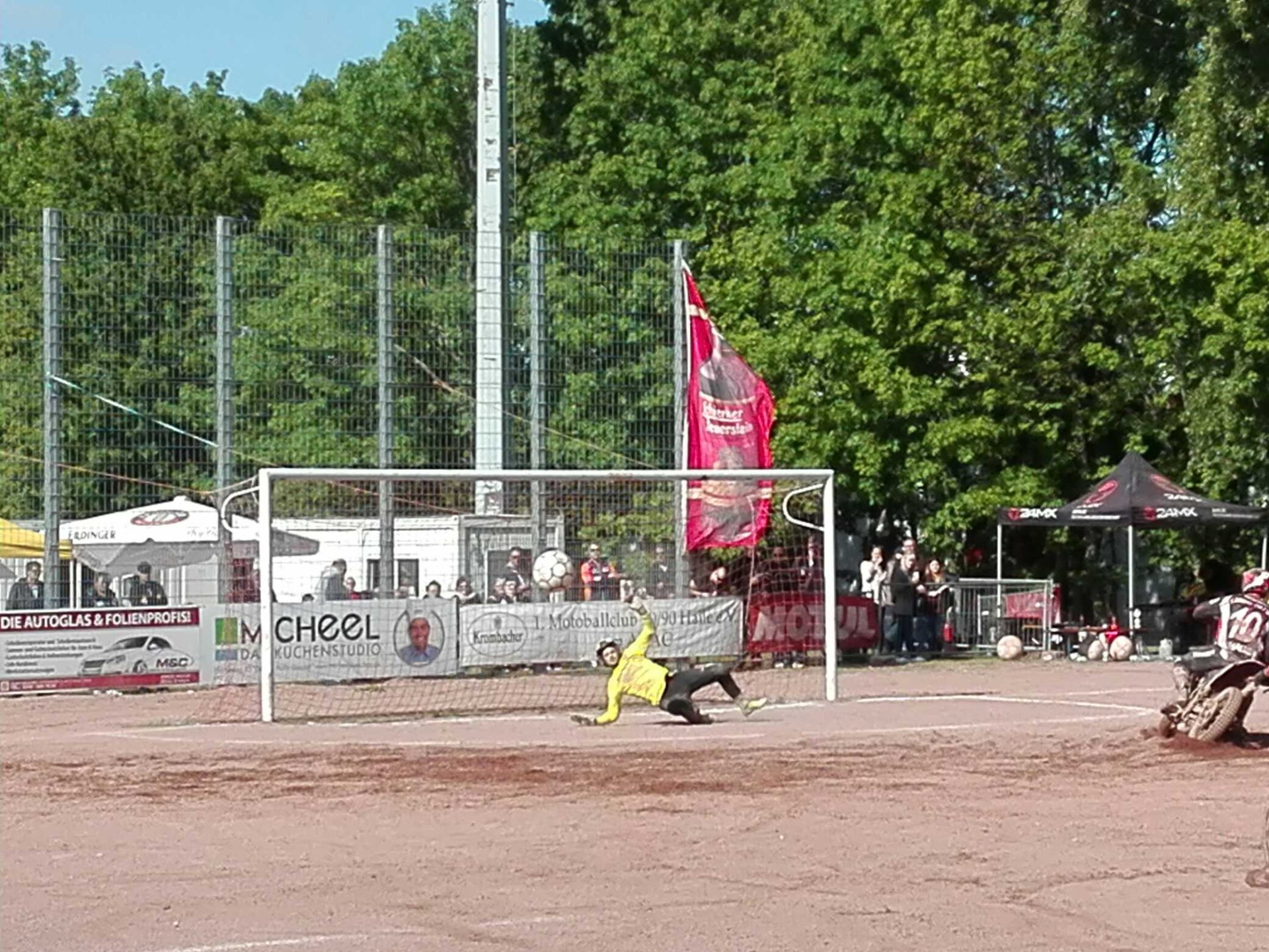 Halle verschenkt Punkte