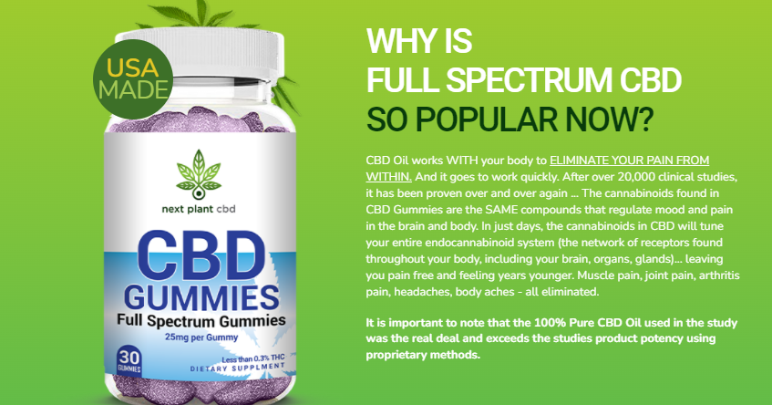 Next Plant CBD Gummies: Reviews-2022, {New Dietary Ingredient} Does It  Really Work? - live blog by Tickaroo