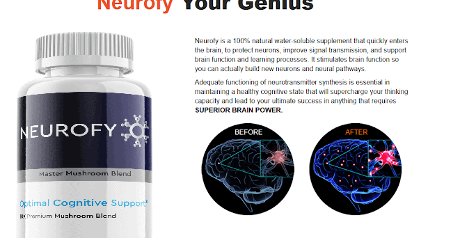 Neurofy Reviews vs. Neurofy Reviews – [Shocking Results] How Its Work? -  livecast by Tickaroo