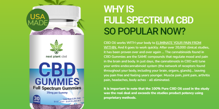 Next Plant CBD Gummies: Reviews-2022, {New Dietary Ingredient} Does It  Really Work? - live blog by Tickaroo